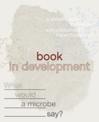 Book in development